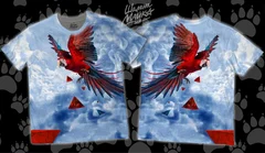 птица, попугай, bird, parrot